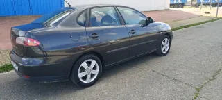 Tranferencia incluida