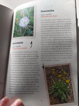 Llibre "Un hort per ser feliç"