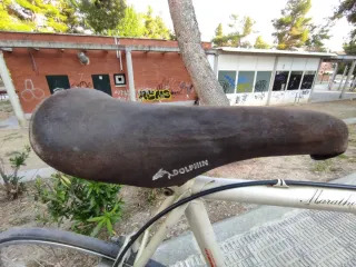 Bicicleta de carretera Dolphin