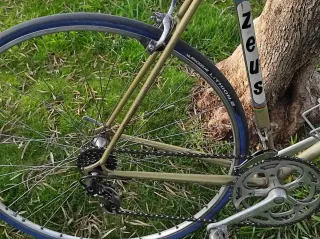 Bicicleta de carretera Dolphin