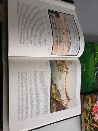 Lote de 2  libros grandes