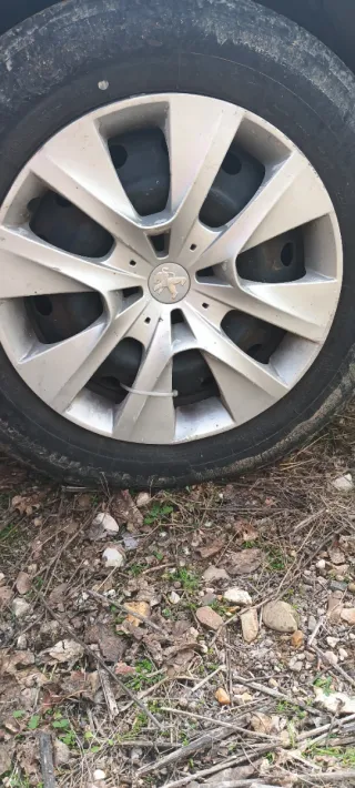 Tapacubos Peugeot 207