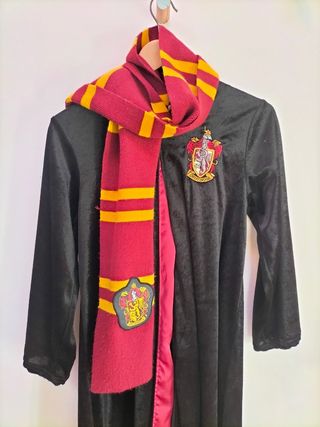 Disfraz Harry Potter