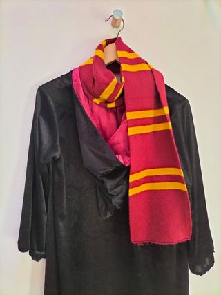 Disfraz Harry Potter