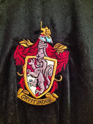 Disfraz Harry Potter