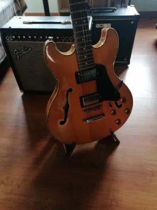 Guitarra eléctrica Samick Hollow Body