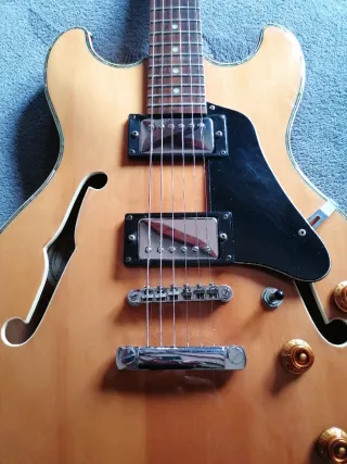 Guitarra eléctrica Samick Hollow Body