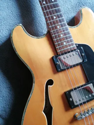 Guitarra eléctrica Samick Hollow Body