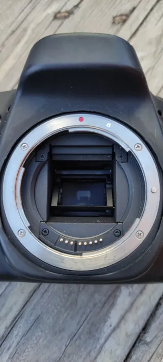 Canon EOS 80D Cámara DSLR Negra