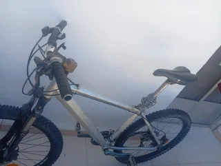 Bicicleta de montaña plateada