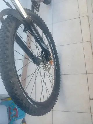 Bicicleta de montaña plateada