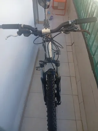 Bicicleta de montaña plateada