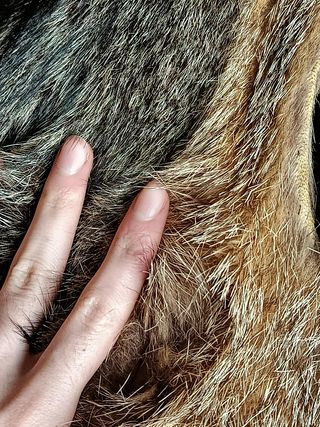 Abrigo Piel de Zorro Vintage