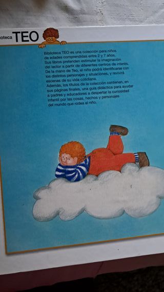 Teo en avion