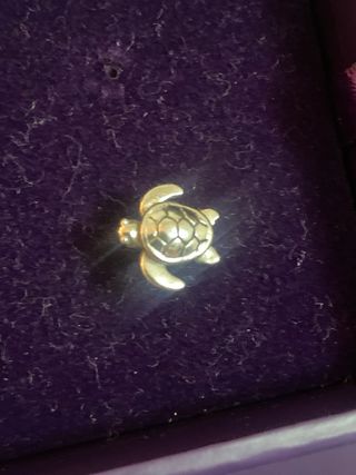 Pendientes Tortuga Aristocrazy