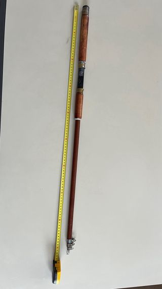 Caña de pescar telescópica