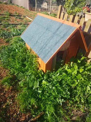Caseta para perro madera mediana-grande