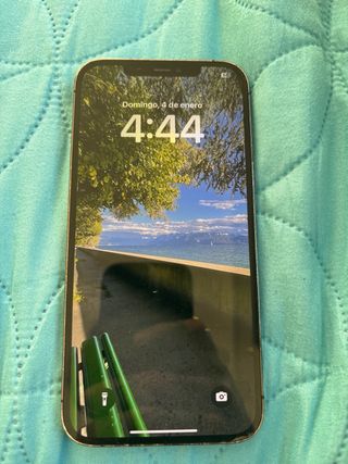 Teléfono Móvil Negro/Plateado