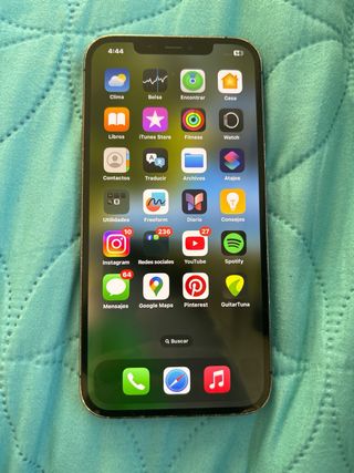 Teléfono Móvil Negro/Plateado