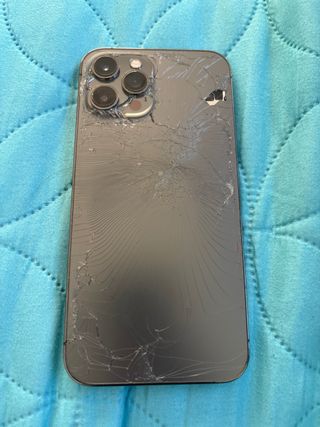 Teléfono Móvil Negro/Plateado