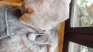 Pijama Loungeable Invierno Talla Única