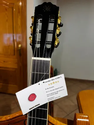 Guitarra Modesto Malla Flamenca Doble S.1