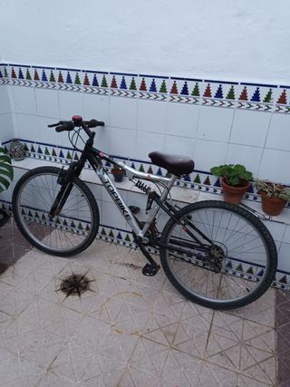 Bicicleta Topbike Montaña