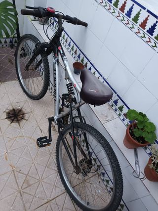 Bicicleta Topbike Montaña