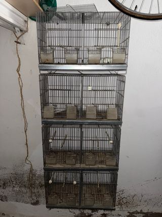 Jaula para pájaros apilable