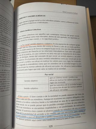Introducción a la Teoría del Derecho del Grado ...