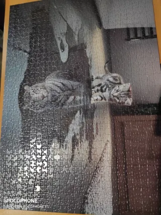 Lote 2 puzzles 1000 piezas Sameline