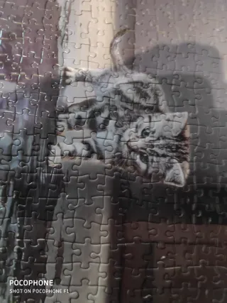 Lote 2 puzzles 1000 piezas Sameline