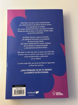 Las luces de febrero (Meses a tu lado 4)