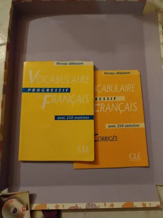 Vocabulaire Progressif Du Francais (French Edit...