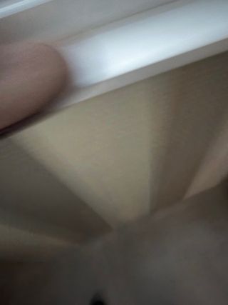 Botines Wonders piel serraje T.40