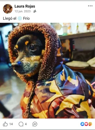 BUSCO TRABAJO DE LIMPIEZA EN SANT CUGAT CENTRO