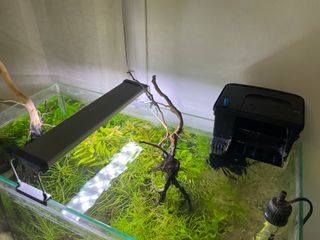 Acuario 54L, Filtro Seachen, Pantalla Chihiros