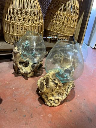 Acuarios de cristal sobre tronco natural