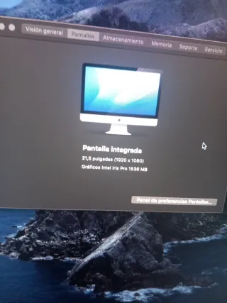 Ordenador Apple iMac Plata a 1418