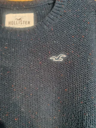 Jersey Hollister