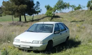 Citroen zx 1991 de segunda mano por 800 EUR en Cubells en WALLAPOP