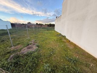 Solares urbanos en Pilas