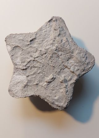 Stella decorativa in cemento