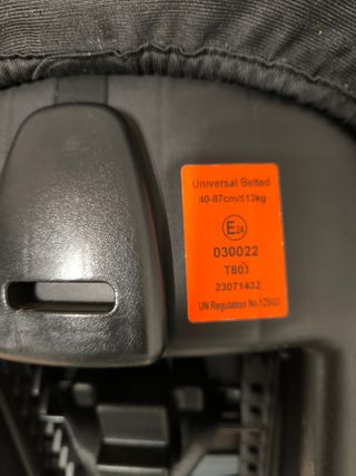 Ovo de bebé - Bom estado