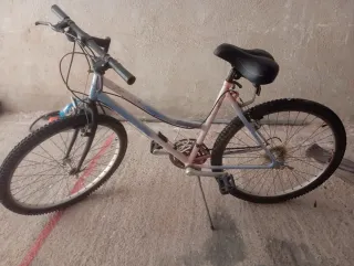 Bicicleta Montaña