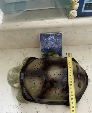 Lampada proiettore tartaruga stellare