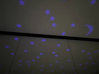 Lampada proiettore tartaruga stellare