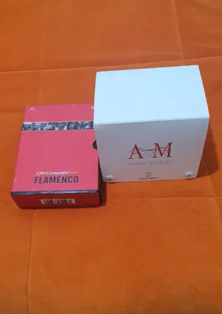 Rito y geografía del cante flamenco