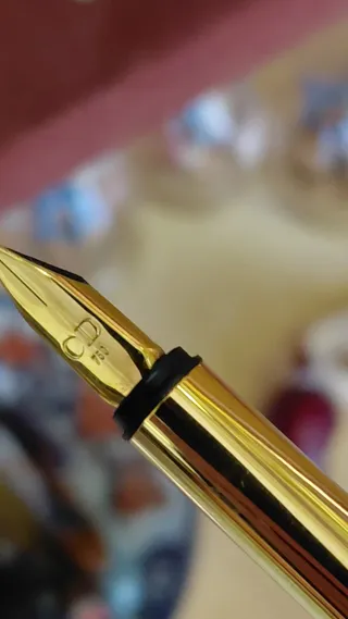 Christian Dior Paris penna stilografica