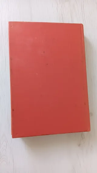 La muchacha de las bragas de oro (Spanish Edition)